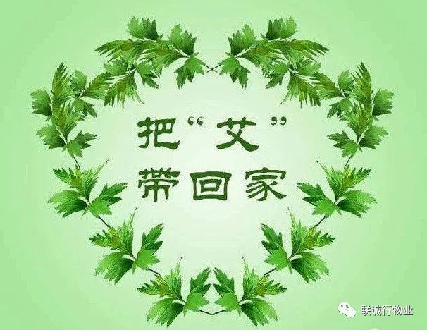 株株“爱意”（艾叶）草”，绵绵情意长
