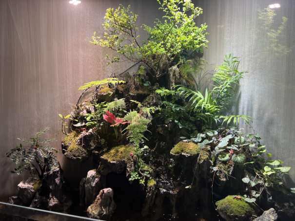 春暖花开，物业客服前台绿植养护日记