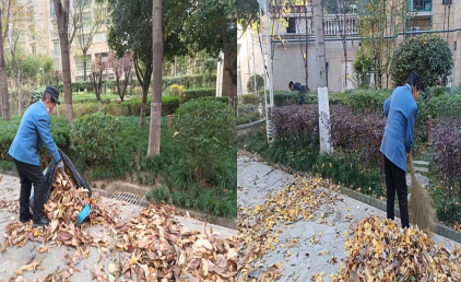 冬日里的温暖：精耕细作的&ldquo;园区守护者&rdquo;