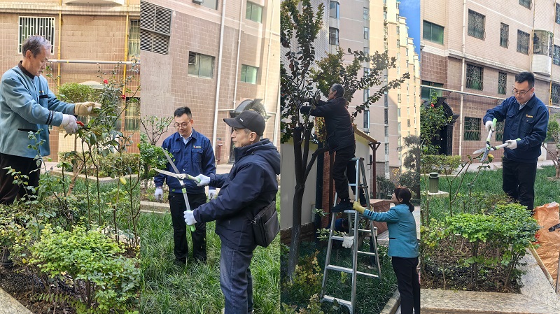 冬日里的修剪，只为静待春日繁华