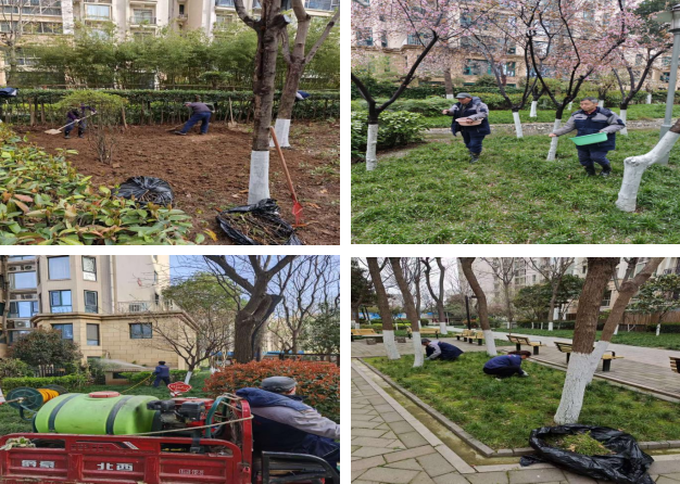 春季养护正当时 物业为园区绿意&ldquo;保驾护航&rdquo;