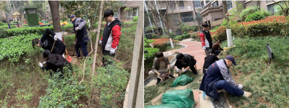 植绿焕新颜，共筑幸福家