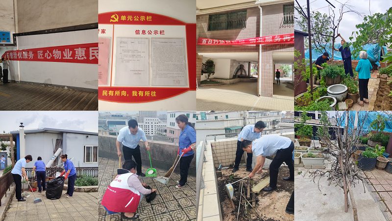 物业服务百日提升 万景花园在行动